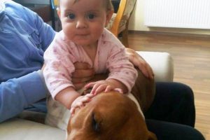 Bimba sbranata