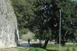 FAlesia Cividate