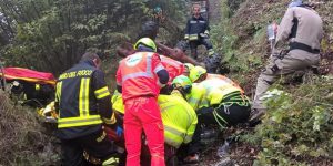 Schiacciato trattore