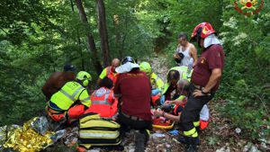 morto sciacciato pianta