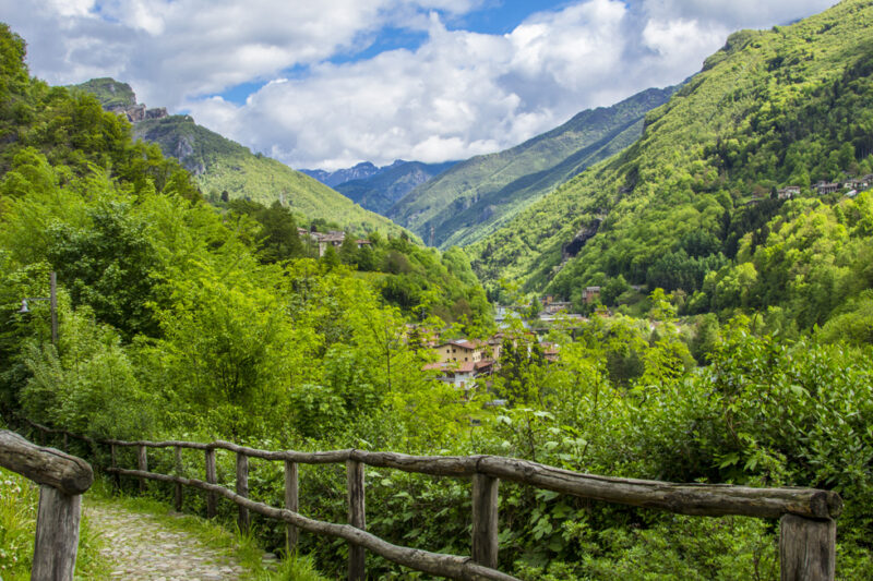 museota