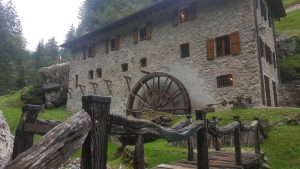 ruota mulino le macine