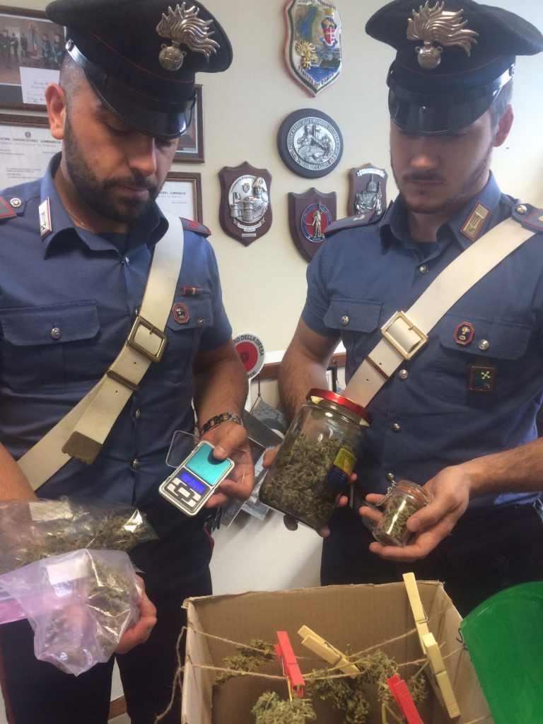 Marijuana Marijuana