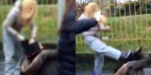 bullismo ragazze