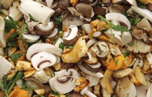 funghi in cucina