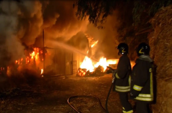 incendio cataste legna
