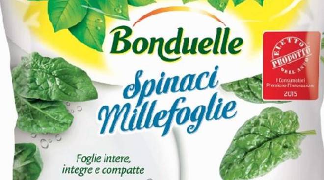 miollefoflie miollefoflie