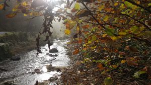 pioggia autunno