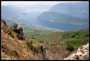 Forcella Sale