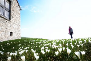 MONTE LINZONE RONCOLA VALLE IMAGNA