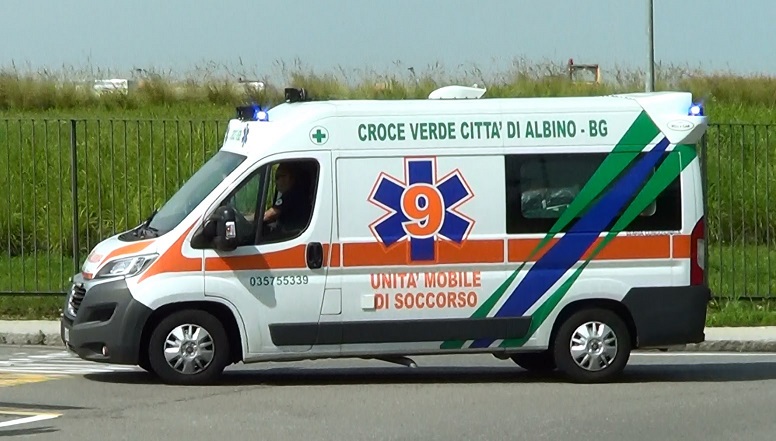 croce verde albino croce verde albino