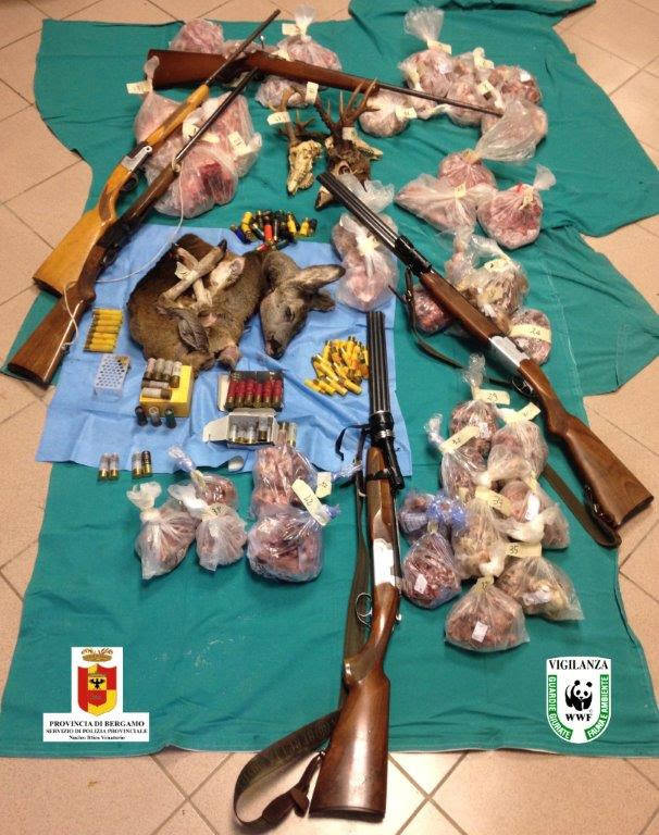 denuncia bracconaggio denuncia bracconaggio