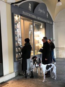 doggye bag pasticceria cani brescia