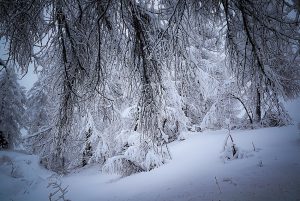 neve orobie