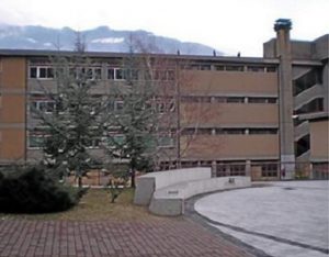 olivelli