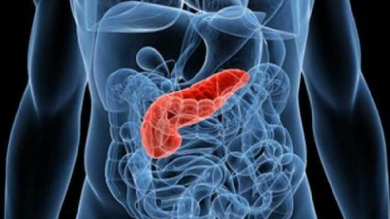patologie del pancreas patologie del pancreas