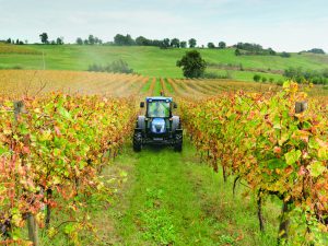 regione lombardia contributi imprese agricole