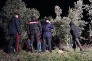 Carabinieri medole