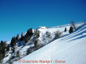 S. Glisente