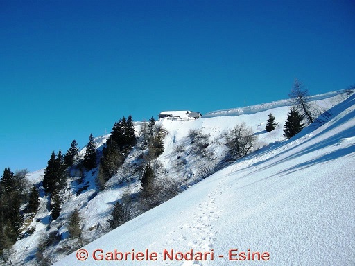 S. Glisente
