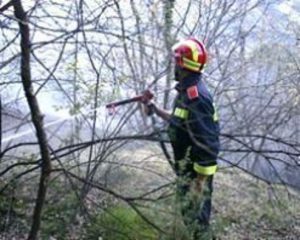 castagneto in fiamme