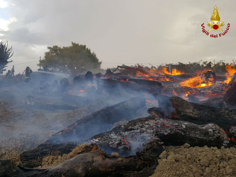 incendio catasta legna edolo