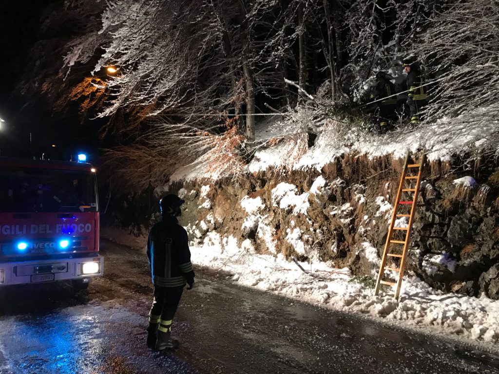 vigili del fuoco clusone piante passo vigili del fuoco clusone piante passo