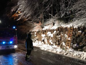 vigili del fuoco clusone piante passo