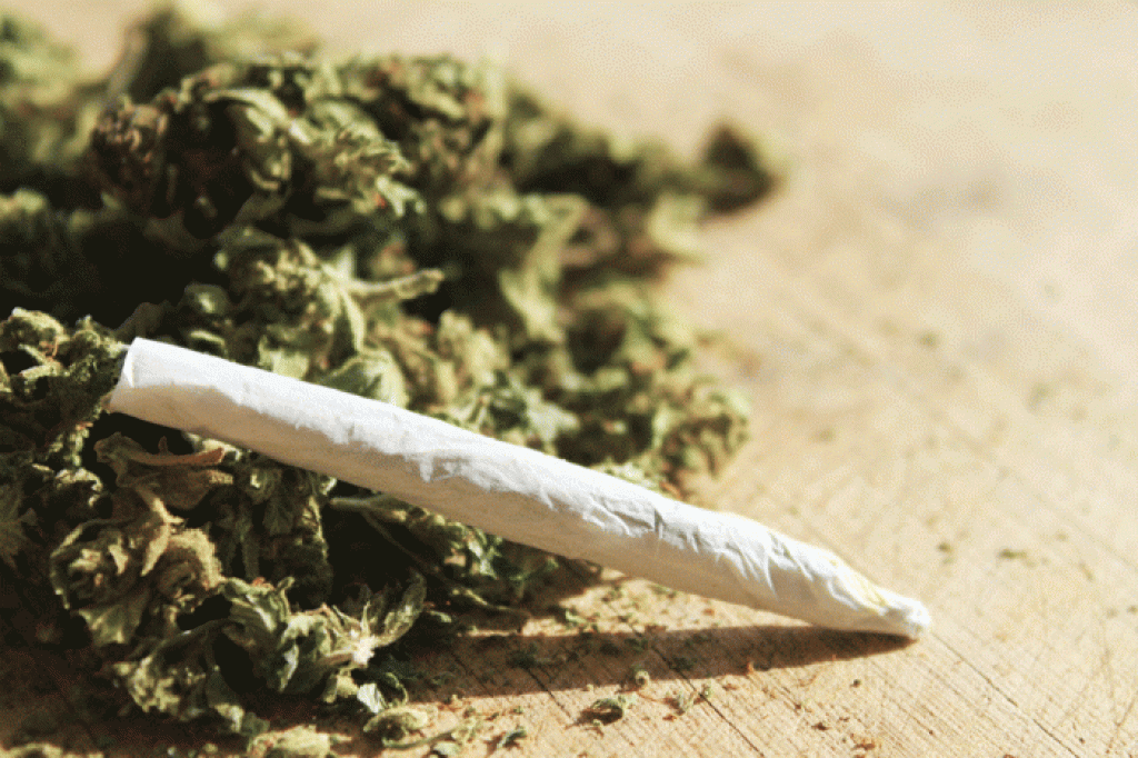 HASHISH HASHISH
