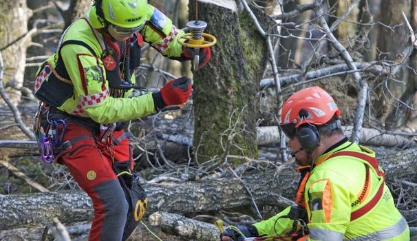 Infortunio bosco Infortunio bosco