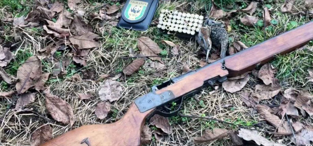 arrestato bracconiere pontoglio arrestato bracconiere pontoglio