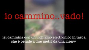 cacciatore richiamo torbiere