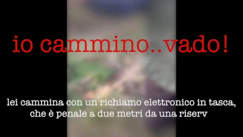 cacciatore richiamo torbiere