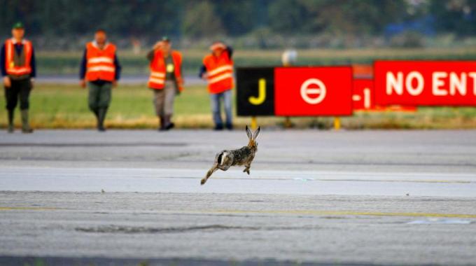 lerpi aeroporto