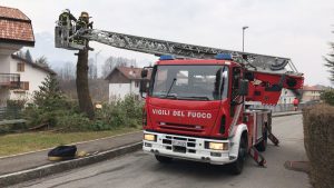 taglio piante clusone
