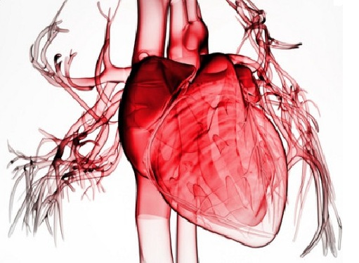 scompenso cardiaco