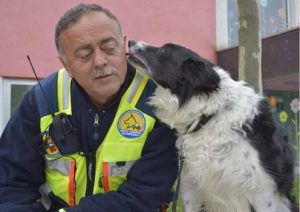 Obbedienza Cani onore