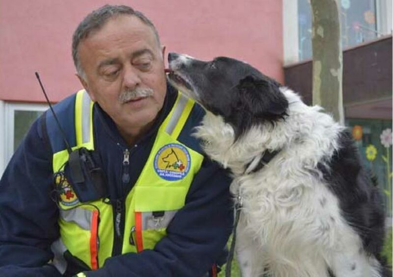 Obbedienza Cani onore Obbedienza Cani onore