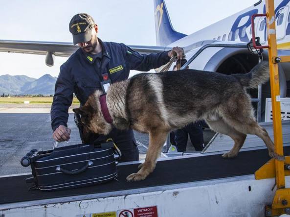 guardia finanza cinofili aeroporto