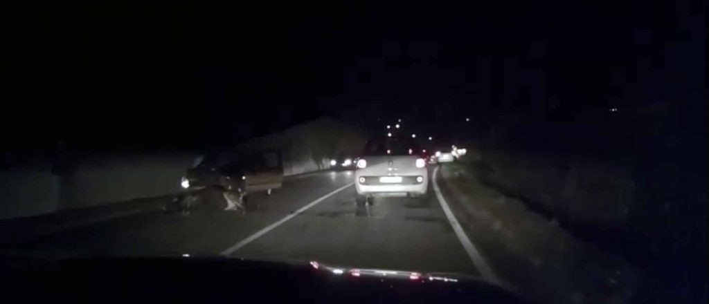 mucca investita Gandino