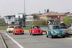 berghem bug