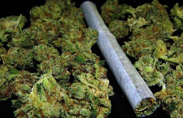 marihuana droga marihuana droga