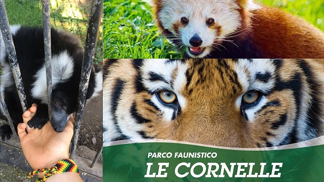 parco faunistico le cornelle parco faunistico le cornelle