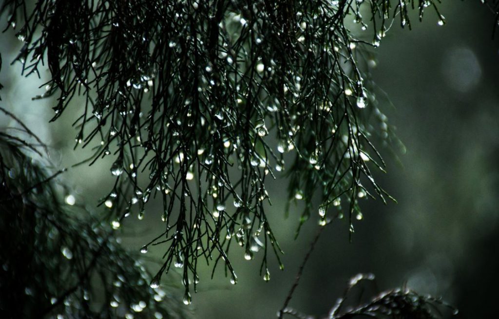 rain rain