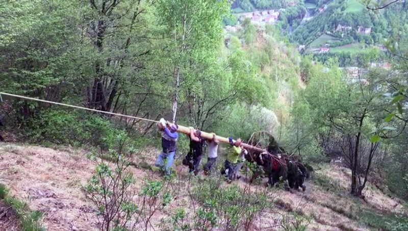 albero mas corno falò