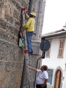 api chiesa gandino 2