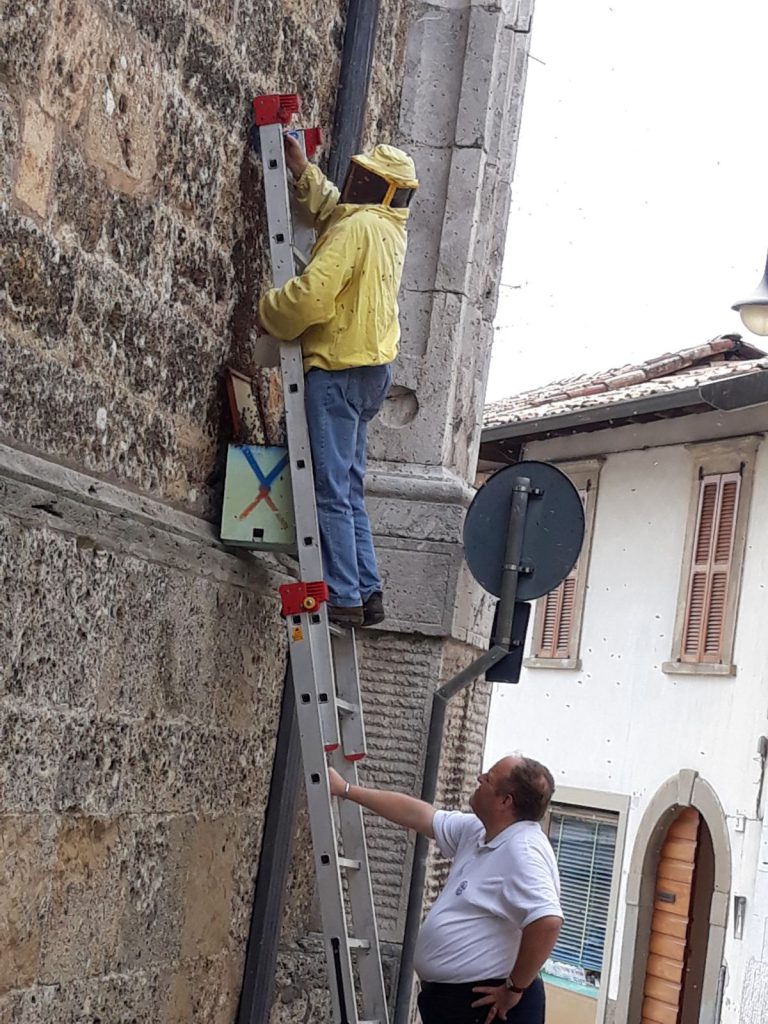 api chiesa gandino 2