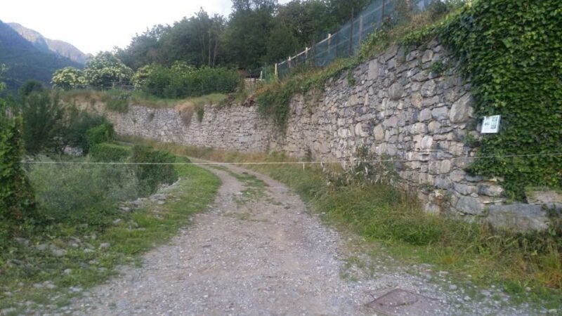 cavo acciaio berzo