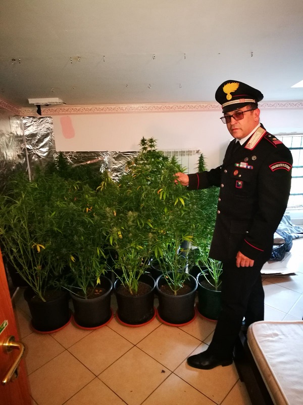 coltivare marijuana in casa