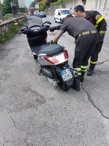 rettile moto